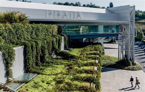 prada new sustainability|Prada group sustainability report.